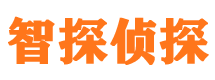 互助市私家侦探